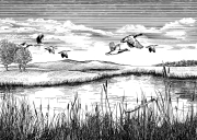 Cattails in the snow