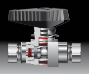 Valve Cutaway